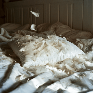 Перьевая подушка