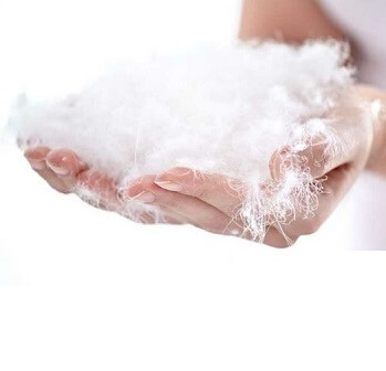 Чем хорош лебяжий пух?