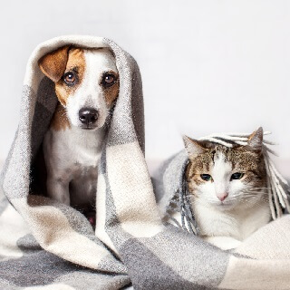 Благотворительный проект «Помоги другу»!