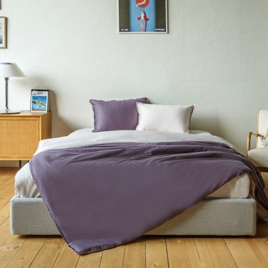 Постельное белье Сатин двустороннее- 3488 слива Евро