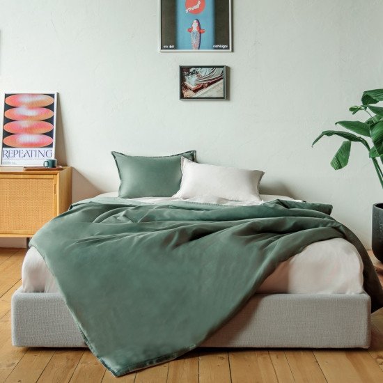 Постельное белье Сатин двустороннее- 3491 кипарис Евро