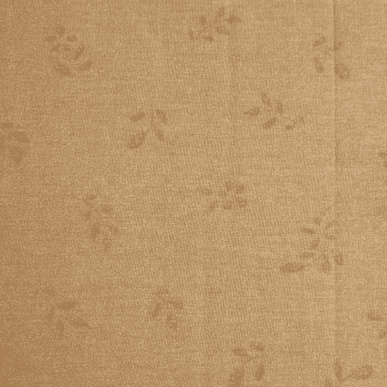 Комплект наволочек 2 шт. Бязь Премиум Audrey Hepburn Песочный листья 50*70 см