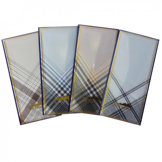 Платок носовой мужской "Etteggy" 38*38 см