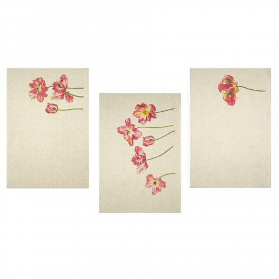 Комплект полотенец для кухни 3 шт. "Белорусский Лён" Френсис-3 45*60 см