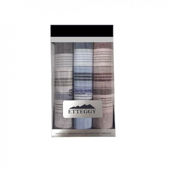 Набор мужских  носовых платков Подарочный "Etteggy"  45340-30 40*40 см-3 шт.