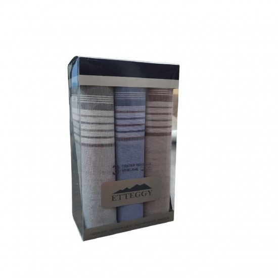 Набор мужских  носовых платков Подарочный "Etteggy"  45340-24 40*40 см-3 шт.