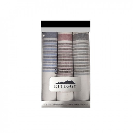 Набор мужских  носовых платков Подарочный "Etteggy"  45340-23 40*40 см-3 шт.