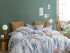 Постельное белье Тенсель- 1633-6 Евро