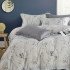 Постельное белье Тенсель Люкс с простыней на резинке- 2095-6/160 Евро