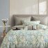 Постельное белье Фланель- 2204-6 Евро