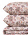 Постельное белье Перкаль Valencia- Eterno Fiorire Дуэт (семейное)