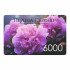 Подарочный сертификат 6000 рублей